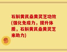 石斛黄芪桑黄灵芝功效(强化免疫力，提升体质，石斛黄芪桑黄灵芝来助力)