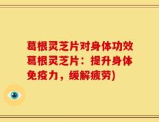葛根灵芝片对身体功效葛根灵芝片：提升身体免疫力，缓解疲劳)