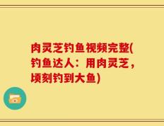 肉灵芝钓鱼视频完整(钓鱼达人：用肉灵芝，顷刻钓到大鱼)