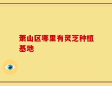 萧山区哪里有灵芝种植基地