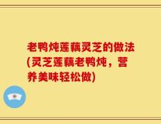 老鸭炖莲藕灵芝的做法(灵芝莲藕老鸭炖，营养美味轻松做)