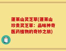 蓬莱山灵芝草(蓬莱山珍贵灵芝草：品味神奇医药植物的奇妙之旅)