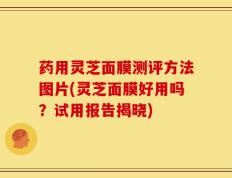 药用灵芝面膜测评方法图片(灵芝面膜好用吗？试用报告揭晓)