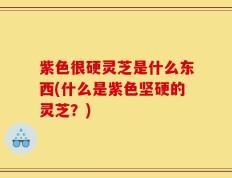 紫色很硬灵芝是什么东西(什么是紫色坚硬的灵芝？)