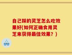 自己踩的灵芝怎么吃效果好(如何正确食用灵芝来获得最佳效果？)