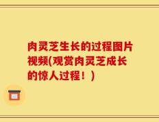 肉灵芝生长的过程图片视频(观赏肉灵芝成长的惊人过程！)