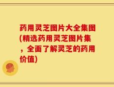 药用灵芝图片大全集图(精选药用灵芝图片集，全面了解灵芝的药用价值)