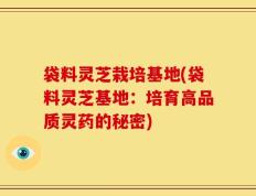 袋料灵芝栽培基地(袋料灵芝基地：培育高品质灵药的秘密)