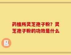 药植所灵芝孢子粉？灵芝孢子粉的功效是什么