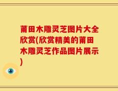 莆田木雕灵芝图片大全欣赏(欣赏精美的莆田木雕灵芝作品图片展示)