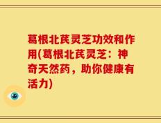 葛根北芪灵芝功效和作用(葛根北芪灵芝：神奇天然药，助你健康有活力)