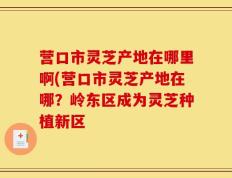 营口市灵芝产地在哪里啊(营口市灵芝产地在哪？岭东区成为灵芝种植新区