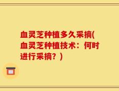 血灵芝种植多久采摘(血灵芝种植技术：何时进行采摘？)