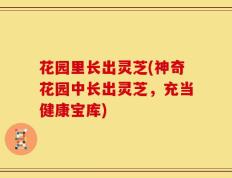 花园里长出灵芝(神奇花园中长出灵芝，充当健康宝库)