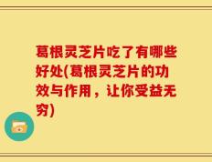 葛根灵芝片吃了有哪些好处(葛根灵芝片的功效与作用，让你受益无穷)