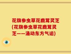 花旗参虫草花鹿茸灵芝(花旗参虫草花鹿茸灵芝——涌动东方气运)