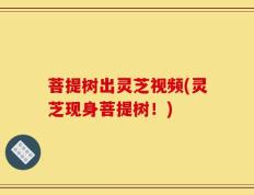 菩提树出灵芝视频(灵芝现身菩提树！)
