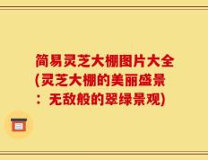 简易灵芝大棚图片大全(灵芝大棚的美丽盛景：无敌般的翠绿景观)
