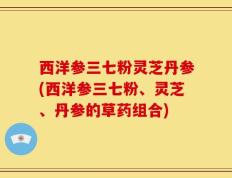西洋参三七粉灵芝丹参(西洋参三七粉、灵芝、丹参的草药组合)