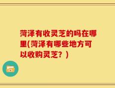菏泽有收灵芝的吗在哪里(菏泽有哪些地方可以收购灵芝？)