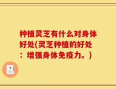 种植灵芝有什么对身体好处(灵芝种植的好处：增强身体免疫力。)
