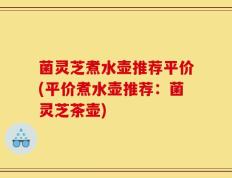 菌灵芝煮水壶推荐平价(平价煮水壶推荐：菌灵芝茶壶)