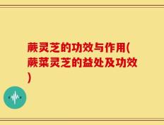 蕨灵芝的功效与作用(蕨菜灵芝的益处及功效)
