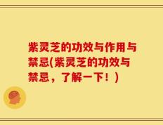 紫灵芝的功效与作用与禁忌(紫灵芝的功效与禁忌，了解一下！)