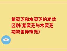 紫灵芝和木灵芝的功效区别(紫灵芝与木灵芝功效差异概览)