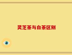 灵芝茶与白茶区别