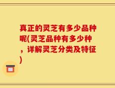 真正的灵芝有多少品种呢(灵芝品种有多少种，详解灵芝分类及特征)