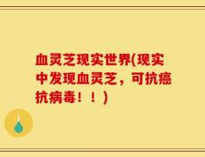 血灵芝现实世界(现实中发现血灵芝，可抗癌抗病毒！！)
