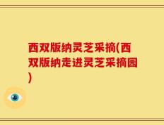 西双版纳灵芝采摘(西双版纳走进灵芝采摘园)