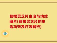 葛根灵芝片主治与功效图片(葛根灵芝片的主治功效及疗效解析)