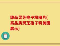 臻品灵芝孢子粉图片(高品质灵芝孢子粉美图展示)