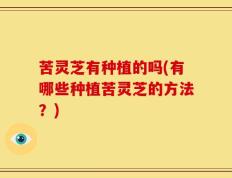 苦灵芝有种植的吗(有哪些种植苦灵芝的方法？)