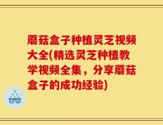 蘑菇盒子种植灵芝视频大全(精选灵芝种植教学视频全集，分享蘑菇盒子的成功经验)
