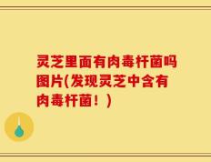 灵芝里面有肉毒杆菌吗图片(发现灵芝中含有肉毒杆菌！)
