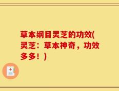 草本纲目灵芝的功效(灵芝：草本神奇，功效多多！)