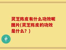 灵芝陈皮有什么功效呢图片(灵芝陈皮的功效是什么？)