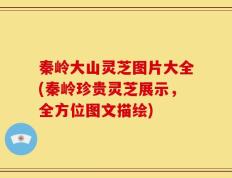 秦岭大山灵芝图片大全(秦岭珍贵灵芝展示，全方位图文描绘)