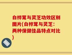 白桦茸与灵芝功效区别图片(白桦茸与灵芝：两种保健佳品特点对比)