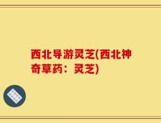 西北导游灵芝(西北神奇草药：灵芝)