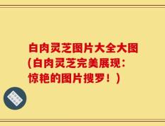 白肉灵芝图片大全大图(白肉灵芝完美展现：惊艳的图片搜罗！)