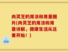 肉灵芝的用法和用量图片(肉灵芝的用法和用量详解，健康生活从这里开始！)