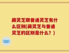 藏灵芝跟普通灵芝有什么区别(藏灵芝与普通灵芝的区别是什么？)