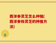 西洋参灵芝怎么种植(西洋参和灵芝的种植方法)
