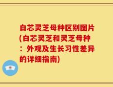 白芯灵芝母种区别图片(白芯灵芝和灵芝母种：外观及生长习性差异的详细指南)