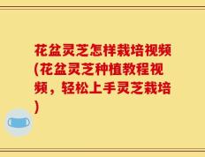 花盆灵芝怎样栽培视频(花盆灵芝种植教程视频，轻松上手灵芝栽培)
