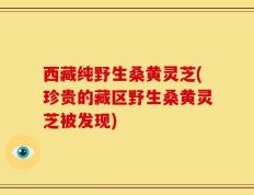 西藏纯野生桑黄灵芝(珍贵的藏区野生桑黄灵芝被发现)